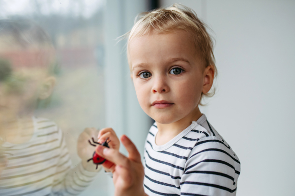 Adorable toddler boy playing with toy ladybug by window.