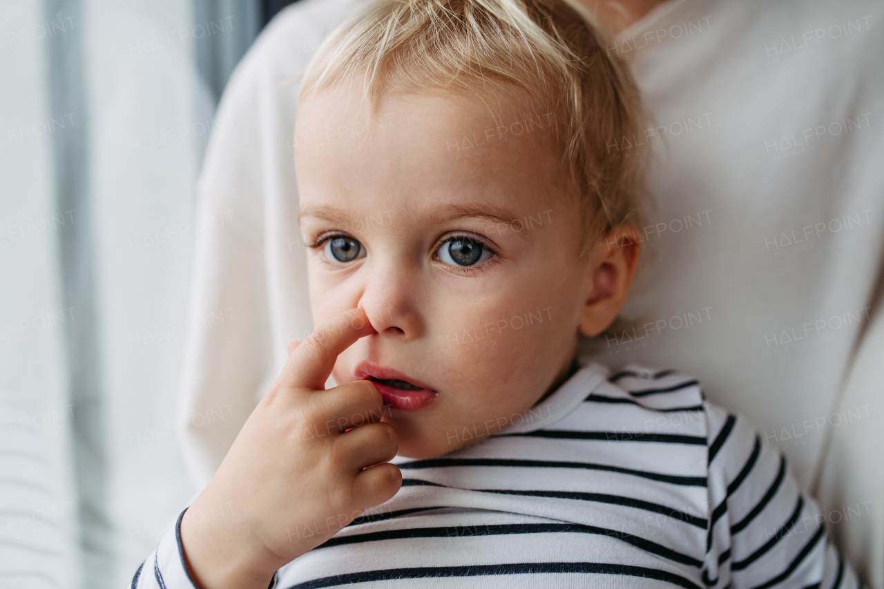 Toddler picking nose while sitting on parent's lap at home