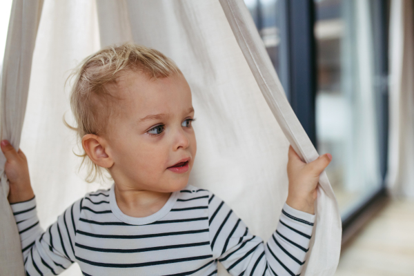 Adorable toddler boy playing hide and seek behind curtain.