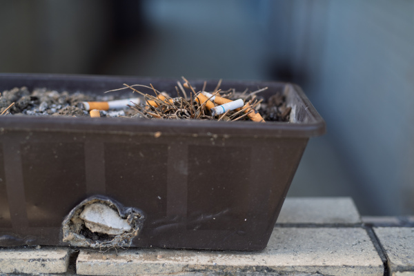 Close-up of flowerpot used as an ashtray by patients and visitors.