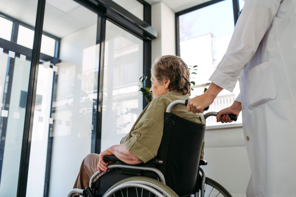 Geriatric doctor pushing a patient in a wheelchair down a hospital hallway. Senior health care.