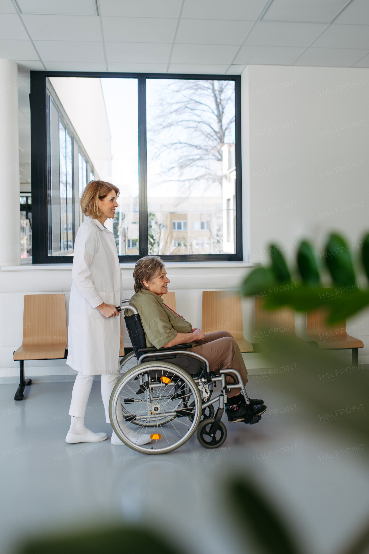 Geriatric doctor pushing a patient in a wheelchair down a hospital hallway. Senior health care.