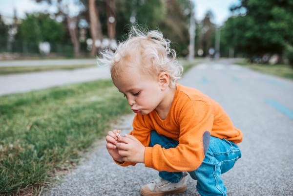 Curious toddler boy examines small flower outdoors. Discovering nature