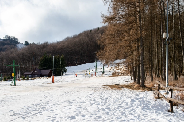 Visible ground on ski slope.