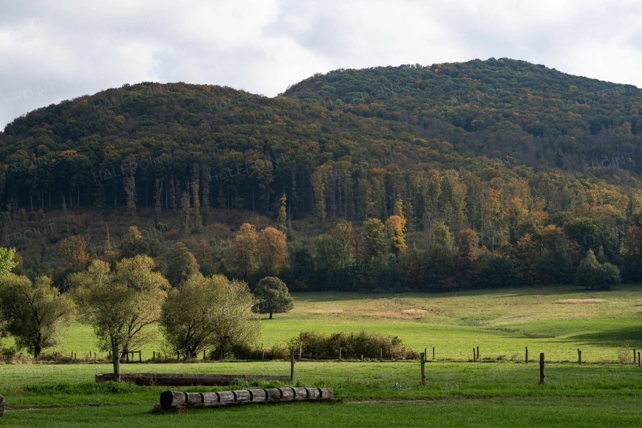 Early autumn season in slovak nature.